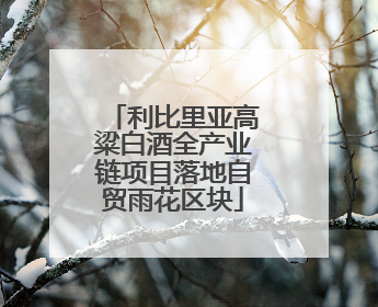 利比里亚高粱白酒全产业链项目落地自贸雨花区块