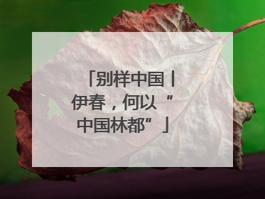 别样中国丨伊春，何以“中国林都”