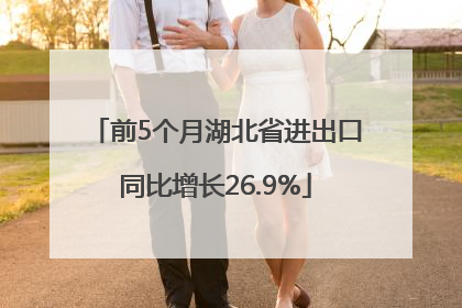 前5个月湖北省进出口同比增长26.9%