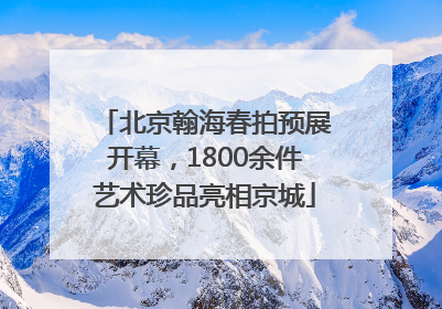 北京翰海春拍预展开幕，1800余件艺术珍品亮相京城