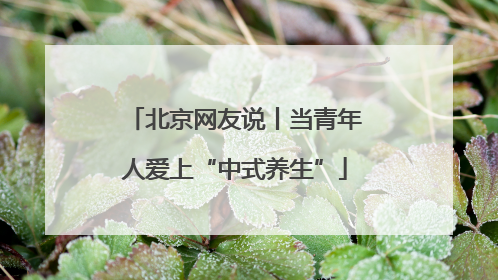 北京网友说丨当青年人爱上“中式养生”