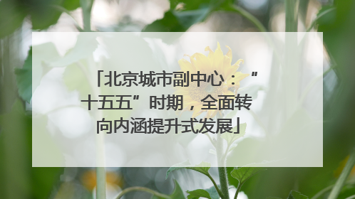 北京城市副中心：“十五五”时期，全面转向内涵提升式发展