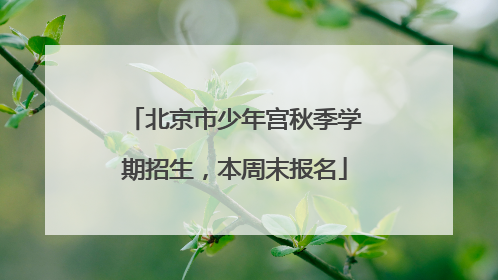 北京市少年宫秋季学期招生，本周末报名
