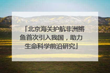 北京海关护航非洲鳉鱼首次引入我国，助力生命科学前沿研究