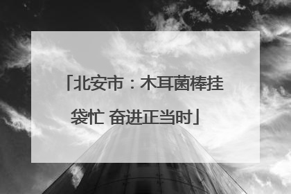 北安市：木耳菌棒挂袋忙 奋进正当时