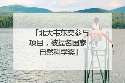 北大韦东奕参与项目，被提名国家自然科学奖