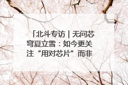 北斗专访｜无问芯穹夏立雪：如今更关注“用对芯片”而非“用贵芯片”