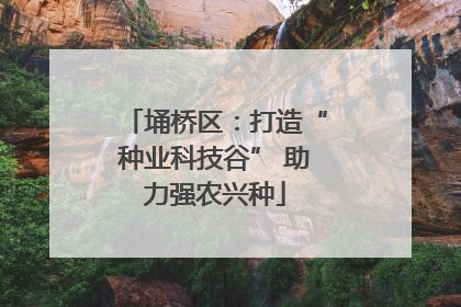 埇桥区：打造“种业科技谷” 助力强农兴种