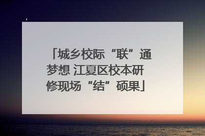城乡校际“联”通梦想 江夏区校本研修现场“结”硕果