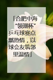 合肥中海“领潮杯”乒乓球赛点燃热情，以球会友筑邻里温情