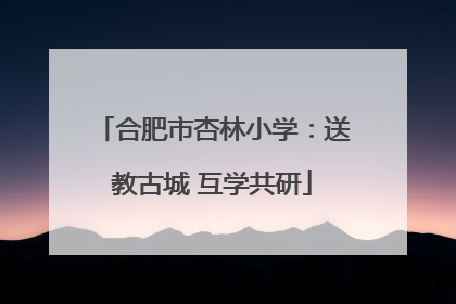 合肥市杏林小学：送教古城 互学共研
