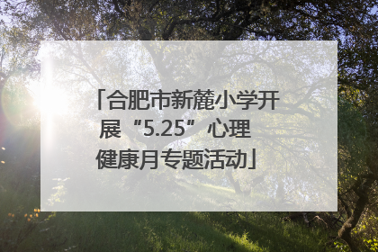 合肥市新麓小学开展“5.25”心理健康月专题活动
