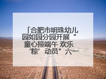 合肥市明珠幼儿园如园分园开展“童心撞端午 欢乐‘粽’动员”六一系列活动