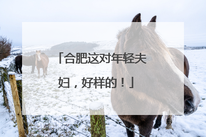 合肥这对年轻夫妇，好样的！
