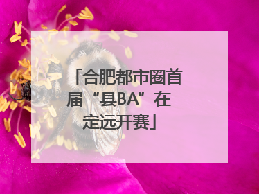 合肥都市圈首届“县BA”在定远开赛