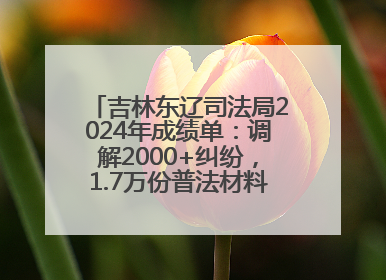 吉林东辽司法局2024年成绩单：调解2000+纠纷，1.7万份普法材料飞入百姓家！