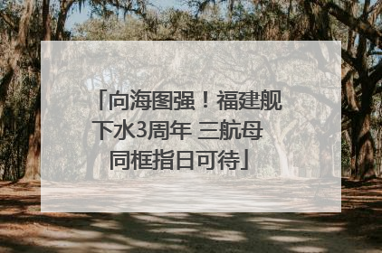 向海图强！福建舰下水3周年 三航母同框指日可待