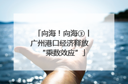 向海！向海③丨广州港口经济释放“乘数效应”