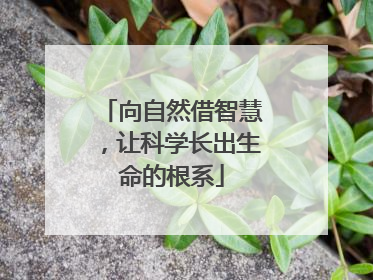 向自然借智慧，让科学长出生命的根系