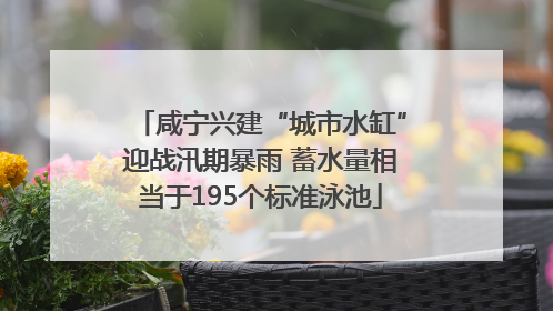 咸宁兴建“城市水缸”迎战汛期暴雨 蓄水量相当于195个标准泳池