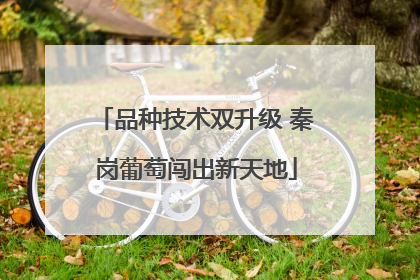 品种技术双升级 秦岗葡萄闯出新天地