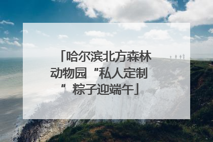 哈尔滨北方森林动物园“私人定制”粽子迎端午