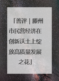 善评｜滕州市民营经济在创新沃土上绽放高质量发展之花