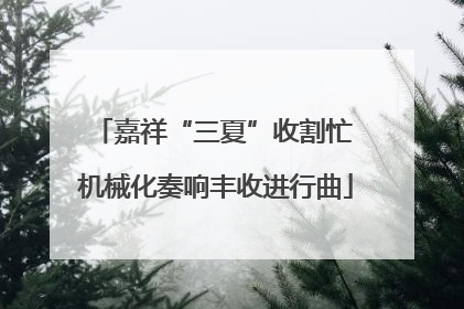嘉祥“三夏”收割忙 机械化奏响丰收进行曲