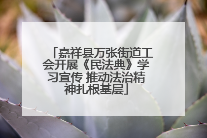 嘉祥县万张街道工会开展《民法典》学习宣传 推动法治精神扎根基层
