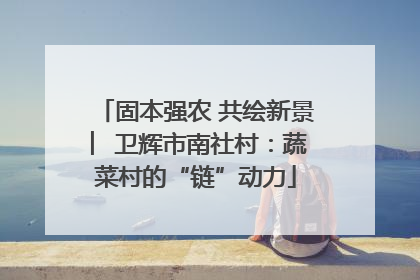 固本强农 共绘新景 ︳卫辉市南社村：蔬菜村的“链”动力