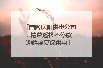 国网庆阳供电公司：精益巡检不停歇 迎峰度夏保供电