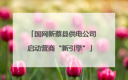 国网新蔡县供电公司启动营商“新引擎”