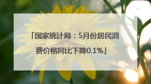 国家统计局：5月份居民消费价格同比下降0.1%