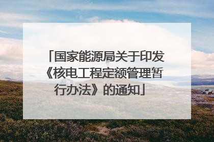 国家能源局关于印发《核电工程定额管理暂行办法》的通知