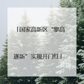 国家高新区“攀高逐新”实现开门红