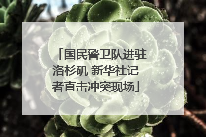 国民警卫队进驻洛杉矶 新华社记者直击冲突现场