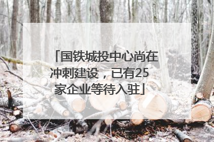 国铁城投中心尚在冲刺建设，已有25家企业等待入驻