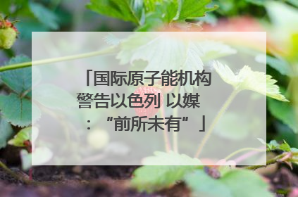国际原子能机构警告以色列 以媒：“前所未有”