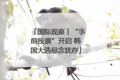 国际观察丨“事前投票”开启 韩国大选悬念犹存