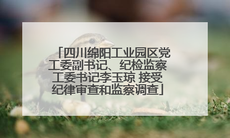 四川绵阳工业园区党工委副书记、纪检监察工委书记李玉琼 接受纪律审查和监察调查