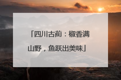 四川古蔺：椒香满山野，鱼跃出美味