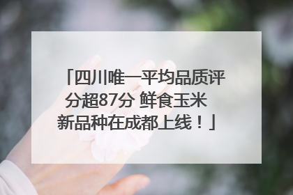 四川唯一平均品质评分超87分 鲜食玉米新品种在成都上线！