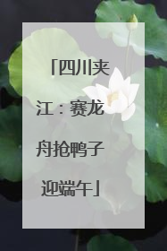 四川夹江：赛龙舟抢鸭子迎端午