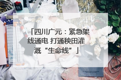四川广元：紧急架线通电 打通秧田灌溉“生命线”