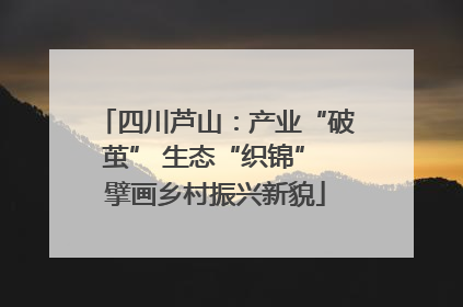 四川芦山：产业“破茧” 生态“织锦” 擘画乡村振兴新貌