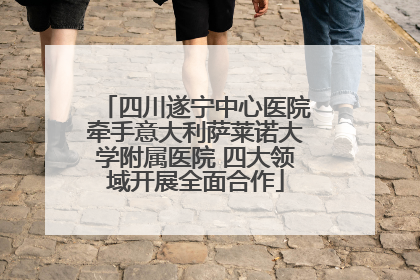 四川遂宁中心医院牵手意大利萨莱诺大学附属医院 四大领域开展全面合作