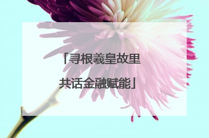 寻根羲皇故里 共话金融赋能