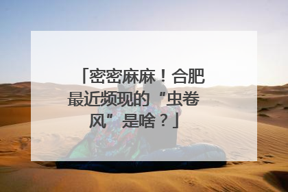 密密麻麻！合肥最近频现的“虫卷风”是啥？