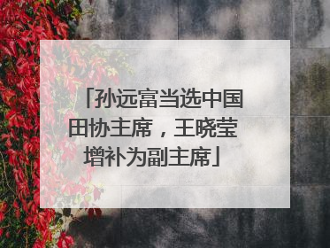 孙远富当选中国田协主席，王晓莹增补为副主席