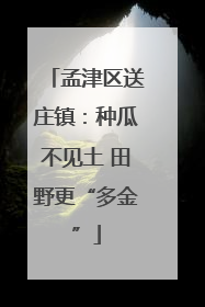 孟津区送庄镇：种瓜不见土 田野更“多金”